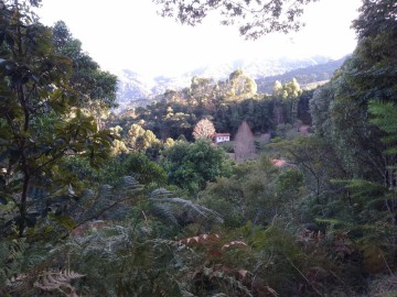 Fazenda  Venda